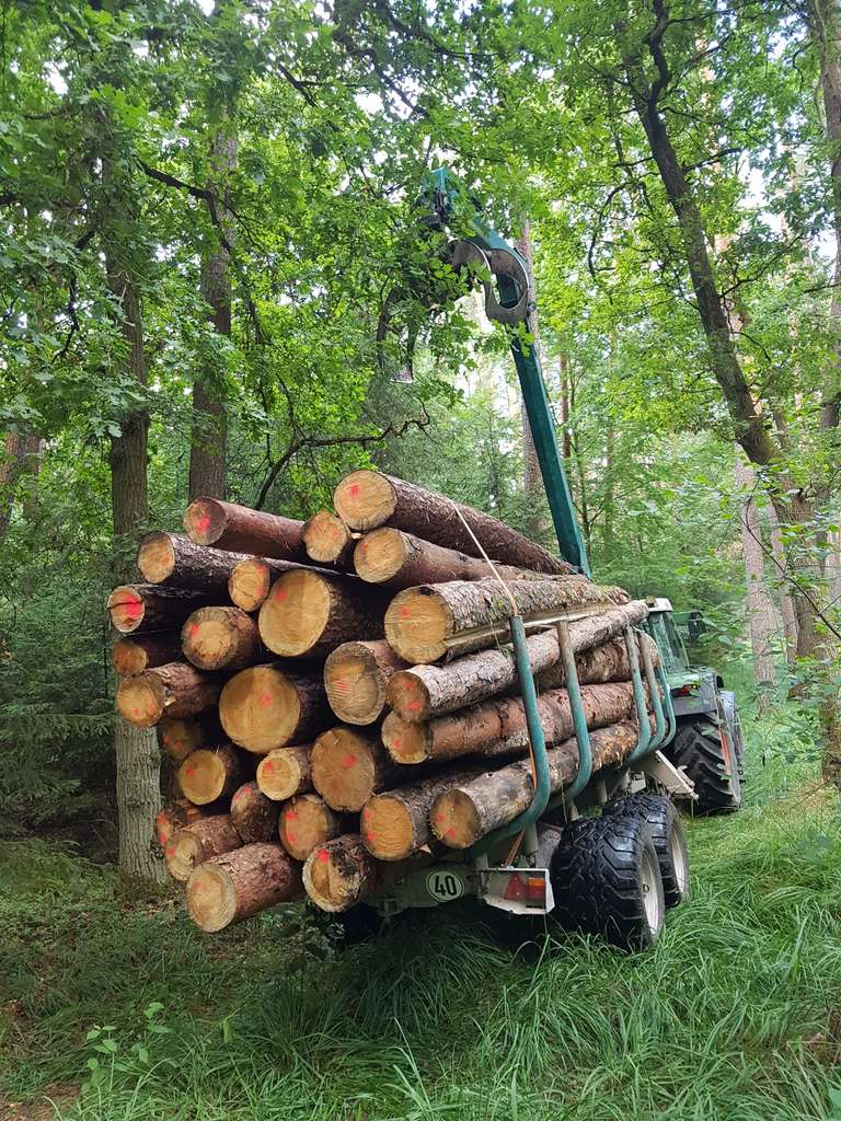 Rückewagen mit Stammholz